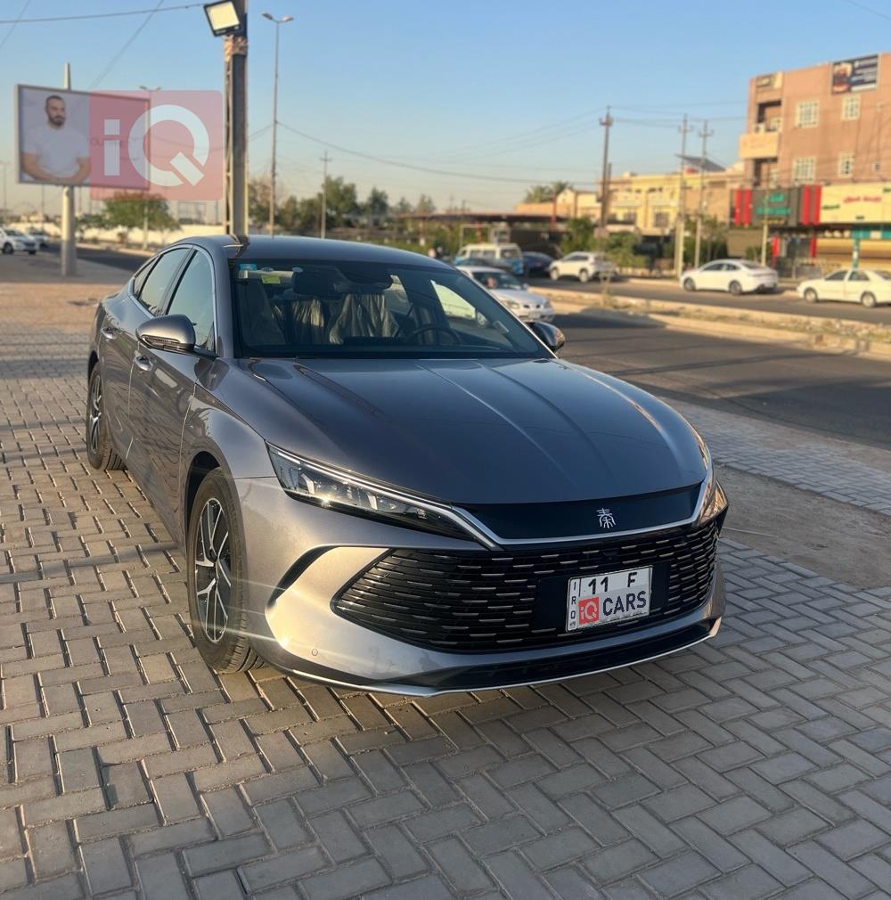 بي واي دي كوين L DM-i